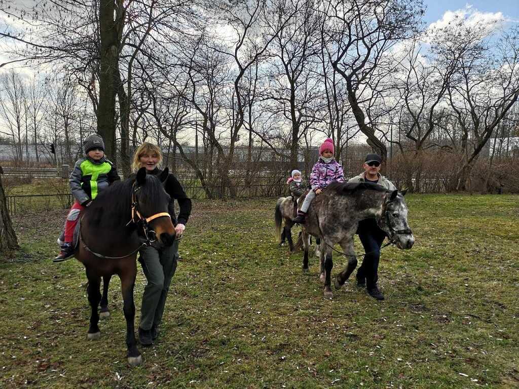 hipoterapia jeżyko-żabek